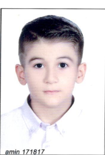 سینا برثور
